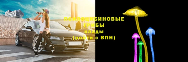 гидра Зерноград
