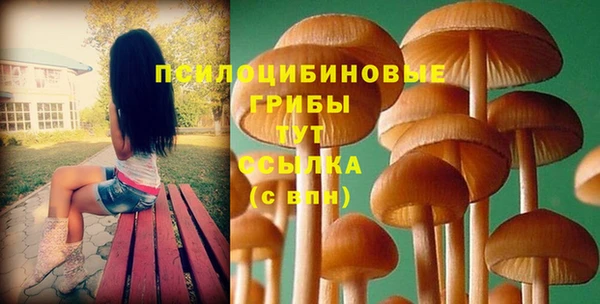 МДМА Зеленокумск