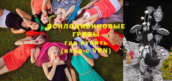 стафф Зеленодольск